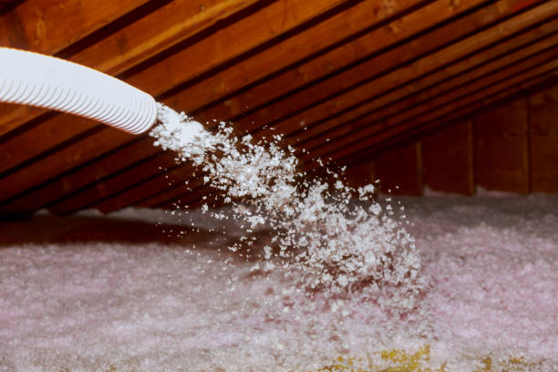 Insulation for Commercial Buildings in Chesapeake Ranch Estates, MD